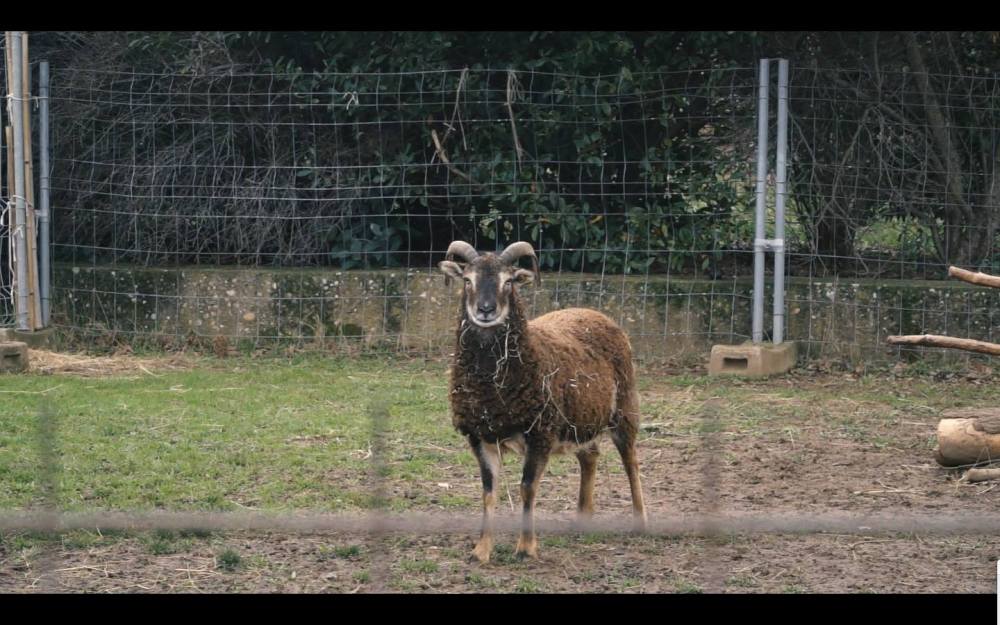 34984593_10214153182496774_619720341513568256_o