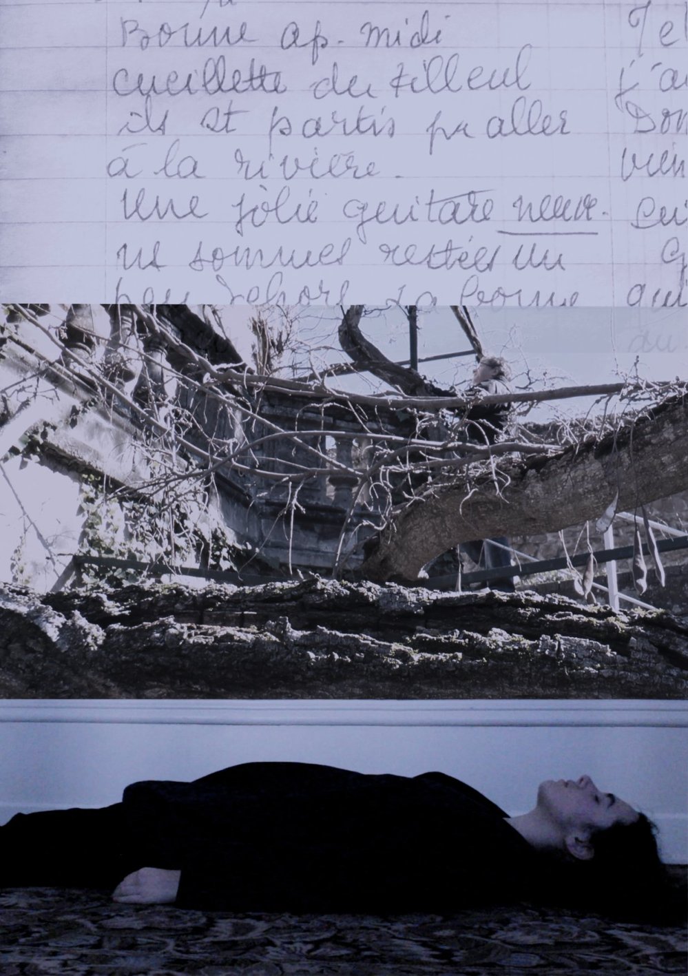 35053130_10214153641708254_4013710576642424832_o