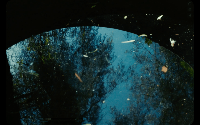 Capture d'écran 2018-07-23 16.55.16.png