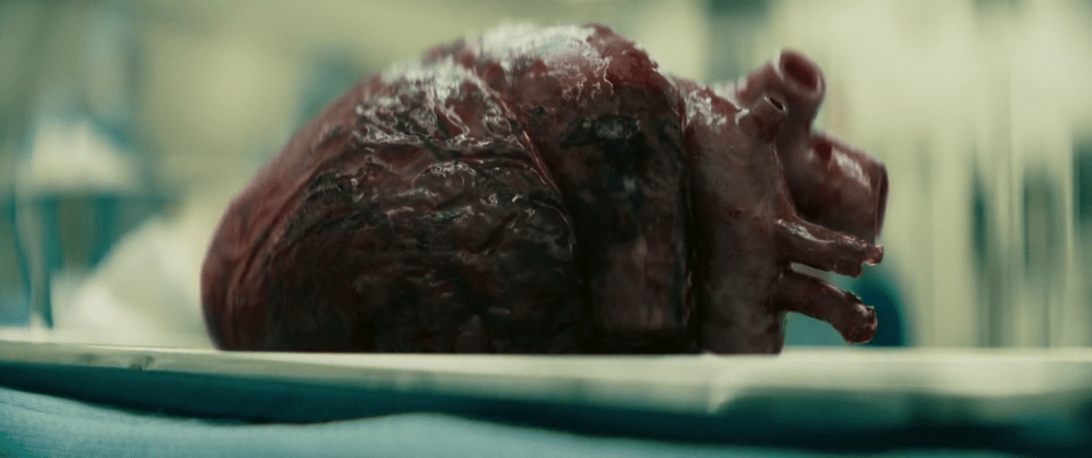 vlcsnap-2019-03-20-10h57m30s106